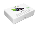 Phytopharma Cassis Pastilles – Sugar-Free Blackcurrant Lozenges